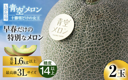 【5月以降順次発送】青空メロン 十勝雪どけの女王 2玉（3L 糖度14以上） | 友夢牧場[BNBM002]
