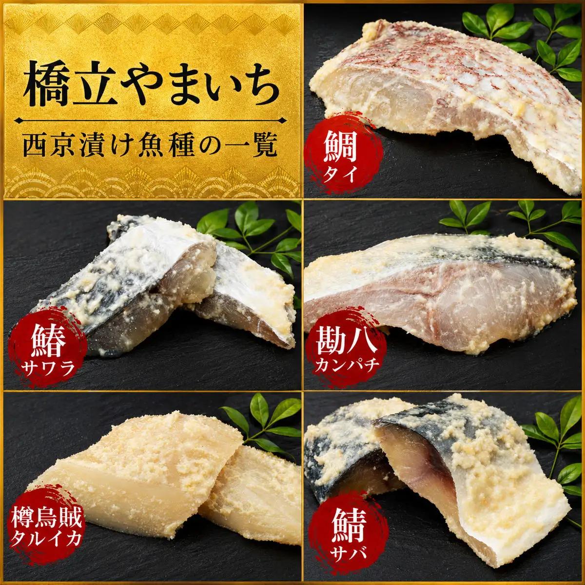 西京漬け タルイカ 9切～ 橋立やまいち 樽烏賊 魚 切り身 西京漬け