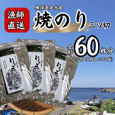 ふるさと納税 横須賀市 【訳あり】海苔 三ツ切15枚×12袋(全形60枚分)漁師直送 上等級 焼き海苔 のり