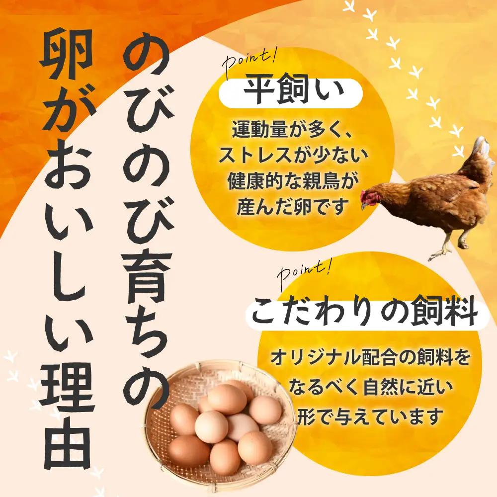 のびのび育ち平飼い「有精たまご」卵30個 卵