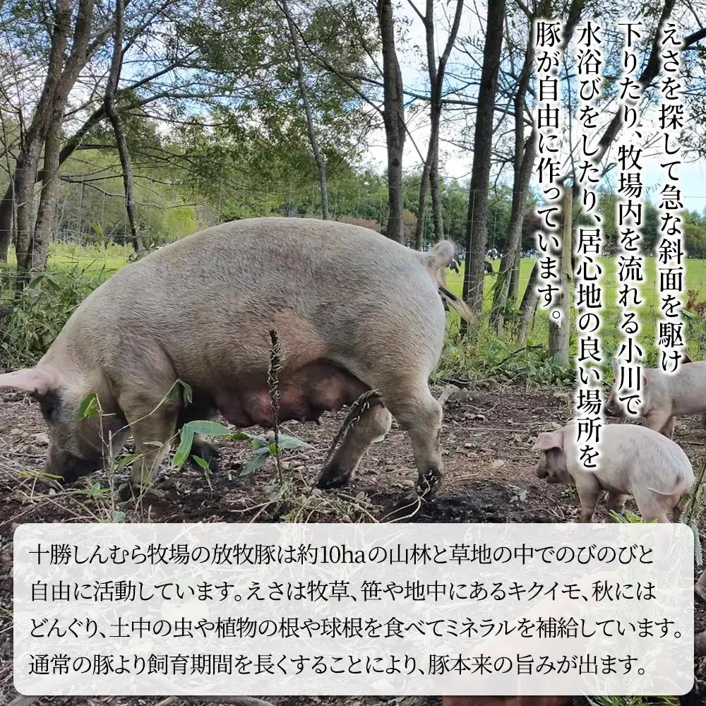 十勝しんむら牧場 放牧豚のハンバーグ 150g×10個 北海道産 豚肉 冷凍