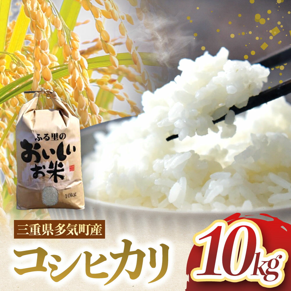 【ふるさと納税】大師の里のコシヒカリ10kg（令和7年産） 三重県 多気町 FY-03-2025