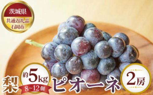 No.648 【先行予約】梨 約5kg（8～12個）とピオーネ2房【茨城県共通返礼品 石岡市】 ／ 果物 なし ぶどう 茨城県