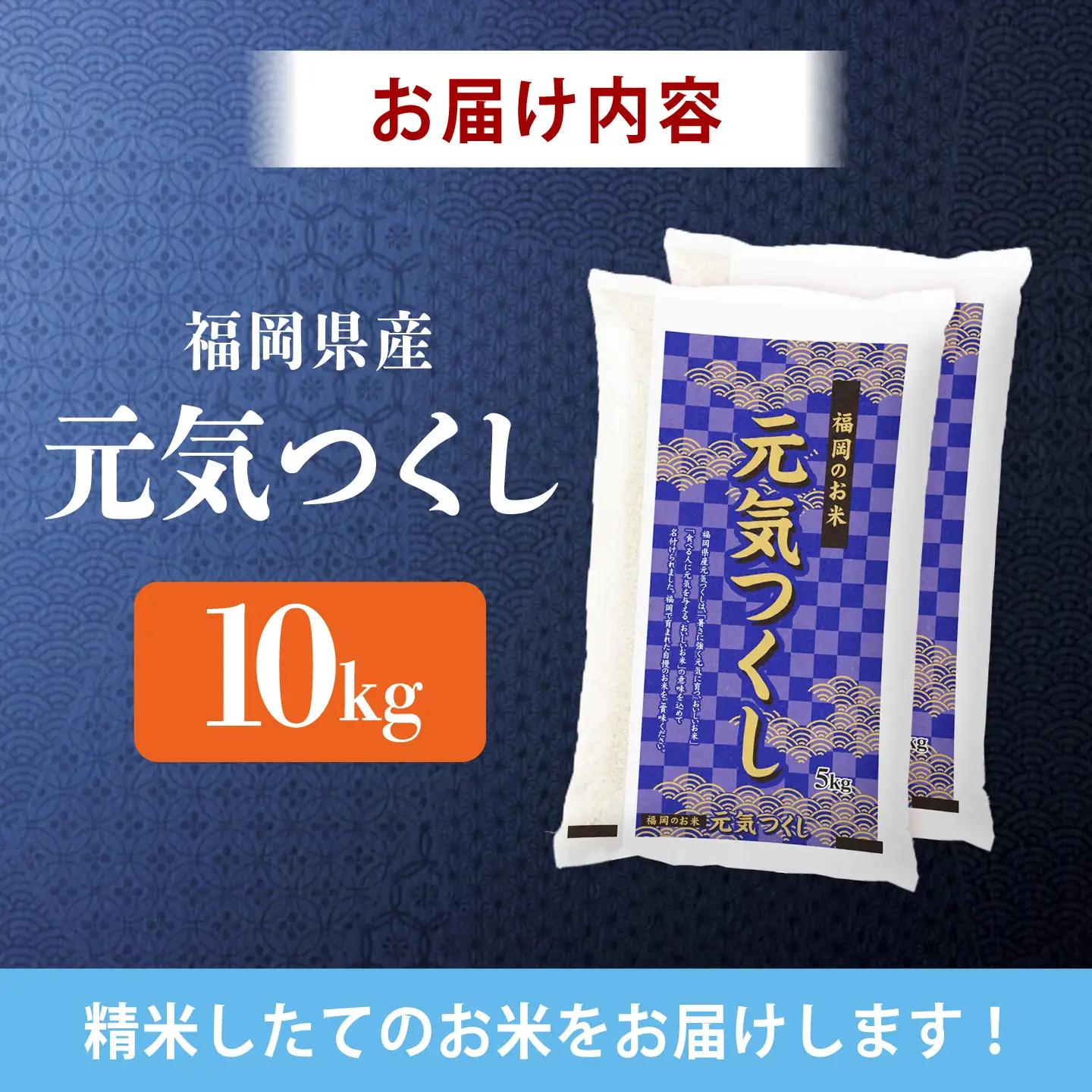 令和7年産　福岡県　元気つくし　10kg（5kg×2袋）《築上町》【カネガエ】[ABFA005]
