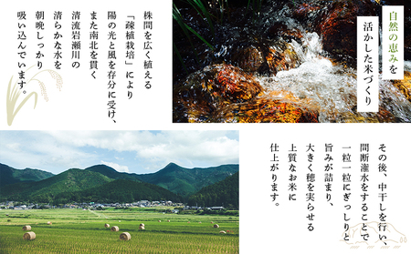 ＜令和7年産 岩瀬川清流米 コシヒカリ 3kg＞ 3キロ こしひかり お米 コメ こめ 白米 精米 ご飯 穀物 鮮度 特産品 愛媛県産 西予市産 宇和町産 OTSUKAFARM 愛媛県 西予市 【常温