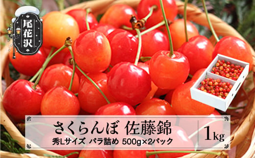 
先行予約 2025年産 さくらんぼ 佐藤錦 秀Lサイズ 1kg(500g×2パック) バラ詰め プレゼント ギフト 令和7年産 山形県産 ns-snslb1
