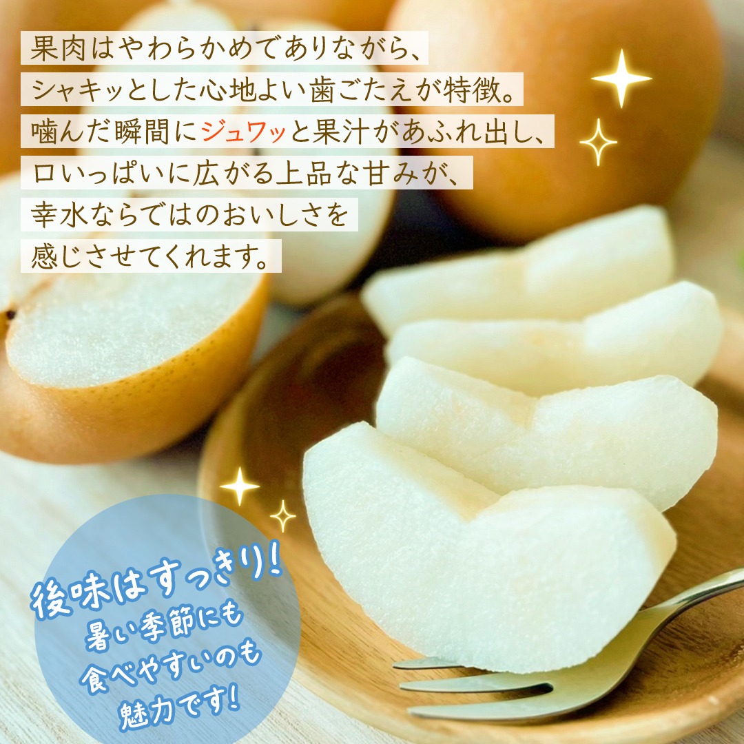 幸水 約3kg【2026年8月より発送開始】（茨城県共通返礼品 [梨