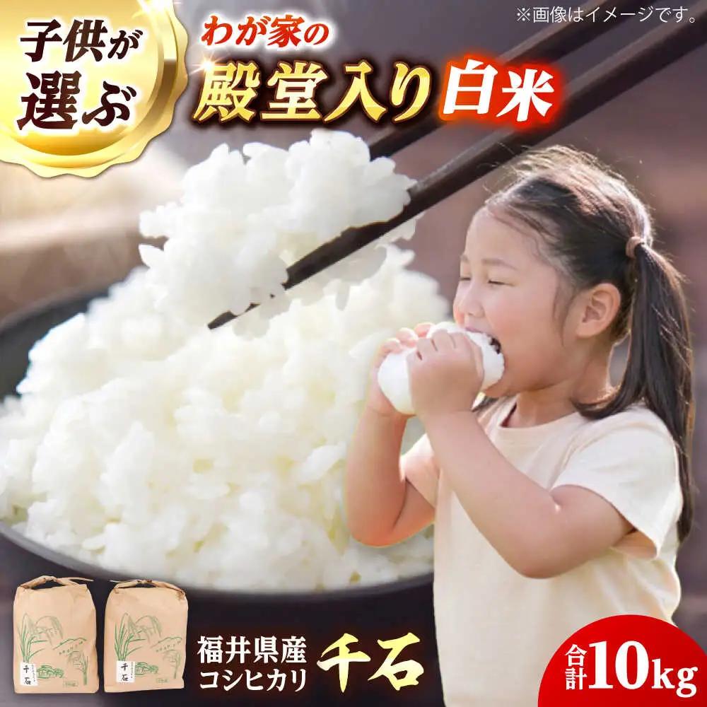 【先行予約/10月中旬以降発送】【令和8年産】福井県産コシヒカリ「千石」 米 10kg 小浜市 / 千石の郷  [BFCA001]