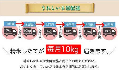 ＜令和7年産米先行受付＞ 令和8年3月上旬より発送 真室川町産 はえぬき【無洗米】60kg定期便(10kg×6回)　◆YYR7H6010M-M2603A