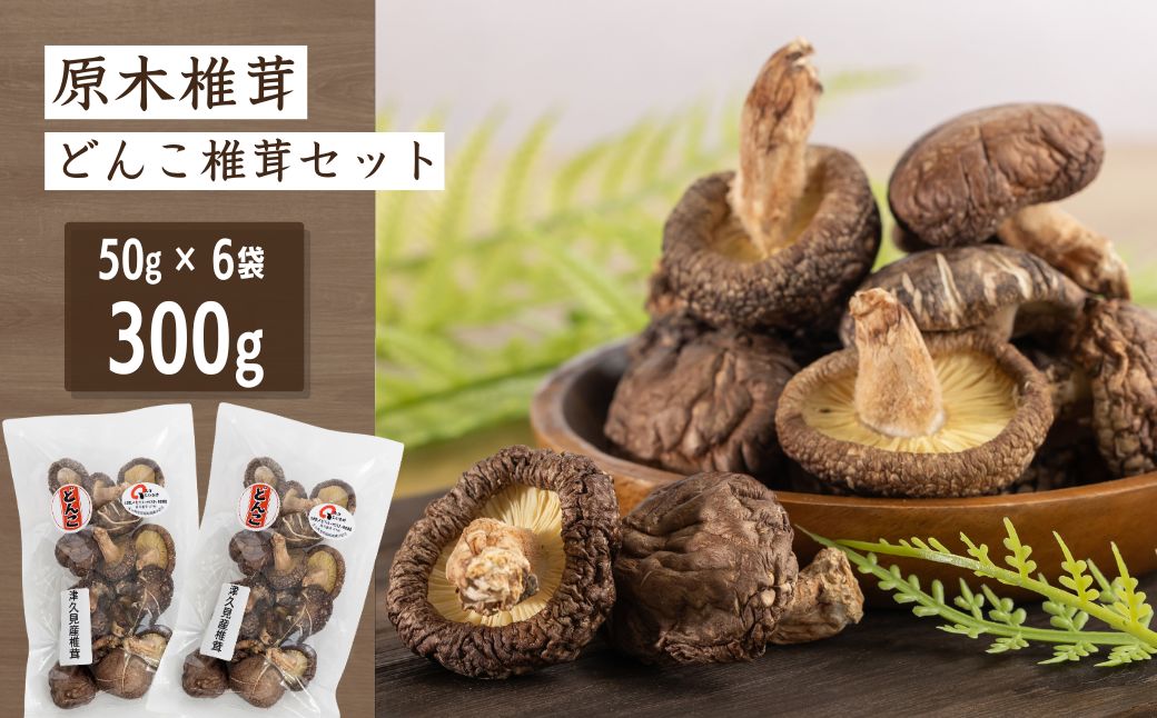 津久見産原木どんこ椎茸 50g×6袋 | しいたけ シイタケ きのこ キノコ 健康 ビタミン 食物繊維 国産 九州 大分県 津久見市