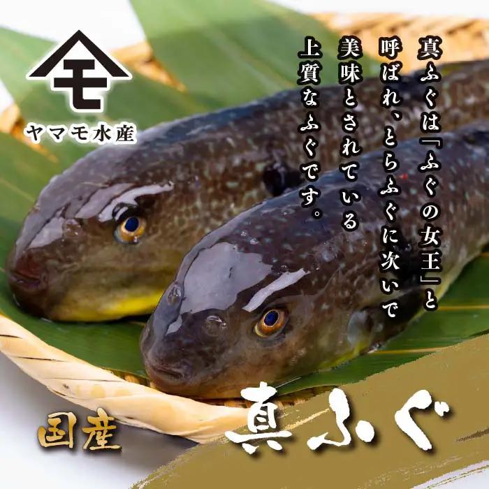 国産ふぐ料理 満喫セット 4～5人前 ふぐ刺し 120g 冷凍 ふぐ FR