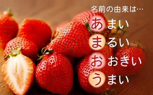 【アフター保証】うるう農園 あまおう DX等級 2パック （約570g）【2024年12月上旬～2025年1月下旬発送予定】 いちご イチゴ 苺 フルーツ 果物