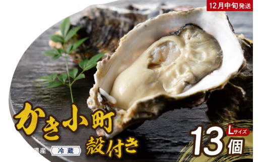 【2025年12月中旬発送】高田水産 殻付 かき小町 13個 (Lサイズ)