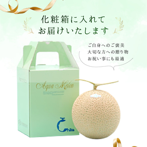 【頒布会】千葉アクアメロン1玉（1.4Kg）【4か月連続お届け】 mi0018-0005