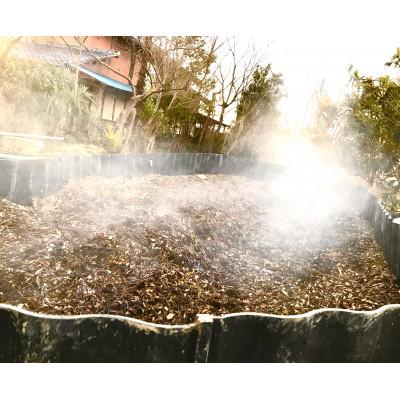 ふるさと納税 久喜市 令和7年産『てまひま米』　彩のかがやき　精米10kg(5kg×2) |  | 02