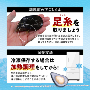 三陸山田産 活ムール貝 2kg ムール貝