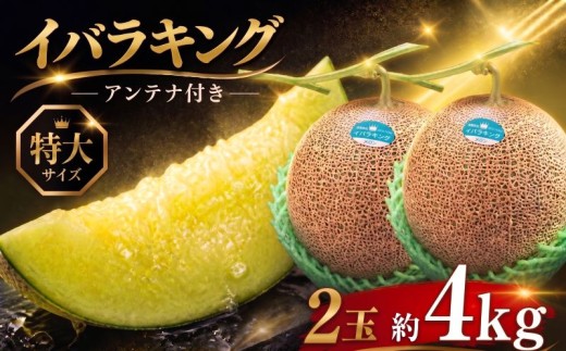 イバラキングメロン（アンテナ付き・特大）2玉（約4kg） 茨城 メロン めろん 舐瓜 果物 くだもの フルーツ 果実 国産 めろん メロン meron melon 旬 デザート 産地直送 農家直送 数量限定 期間限定 旬 舐瓜 ふるさと納税メロン 茨城県 鉾田市