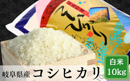 ≪令和7年産≫ 岐阜 コシヒカリ 約10kg