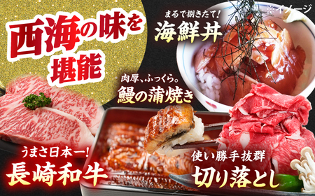 【12回 定期便 】お肉と海の幸～見つけた！西海の宝物定期便～ 西海市 定期便 魚 肉 長崎 和牛 和牛 月替わり うなぎ ウナギ 鰻 [CZZ022]