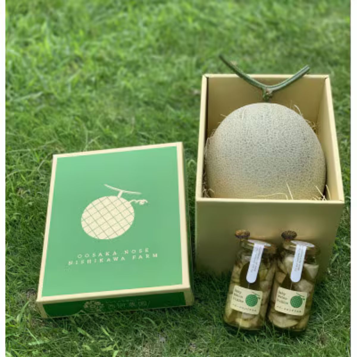 【ふるさと納税】令和8年8月中旬以降発送予定!　大阪府能勢町産　青肉メロン1玉×メロンピクルス2本セット　【配送不可地域：離島】【1521230】