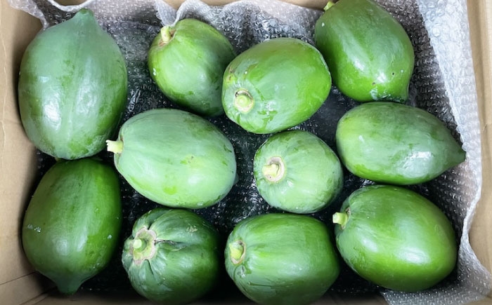 パパイヤ 野菜 果物  青パパイヤ 酵素 健康 美容 抗酸化作用 ノンカフェイン 乾燥パウダー リーフティ お茶 紅茶 