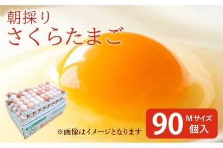 卵 朝採り さくら たまご 90個（Mサイズ）卵 10個破損補償含む 鶏卵 赤鶏の卵