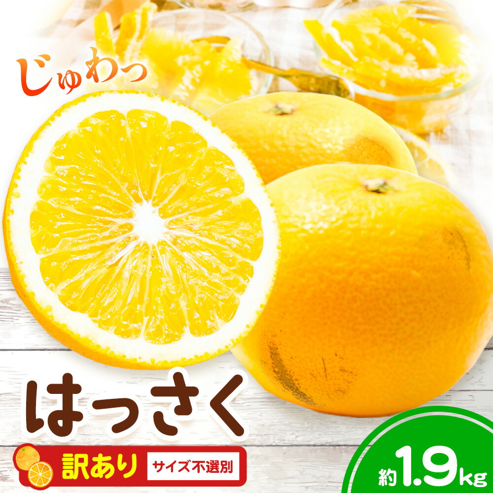 【ふるさと納税】八朔 はっさく 約1.9kg 訳あり サイズ不選別 果物 くだもの フルーツ ゼリー ジュース ピール 《2月上旬-3月上旬発送》 徳島県 美馬市