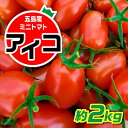 【ふるさと納税】【食卓にトマトで彩りと笑顔を！】甘くて おいしい！ ミニトマト アイコ 約2kg 国産 トマト とまと 完熟 肉厚 新鮮 常温 五島市 / 野口とまと [PCJ001]