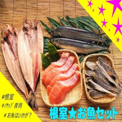 ふるさと納税 根室市 【北海道根室産】根室のお魚セットA B-59007
