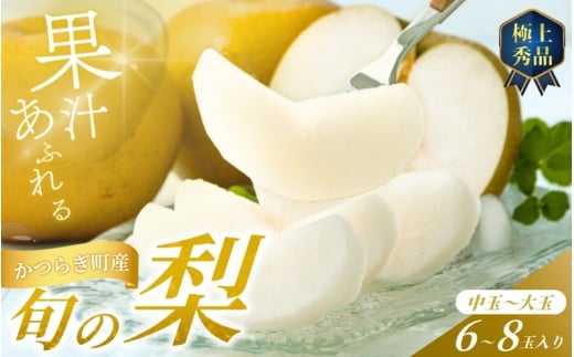 【先行予約】旬の梨(幸水ー豊水ーあきづき) 極上秀品（中玉～大玉）6～8個入り 2025年8月下旬～2025年9月下旬頃に順次発送予定（お届け日指定不可）/ 和歌山 梨 フルーツ 果物 くだもの【kgr015】