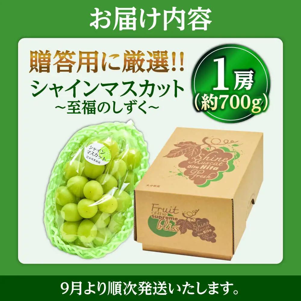 シャインマスカット 約700g 至福のしずく [AREJ001]シャインマスカット