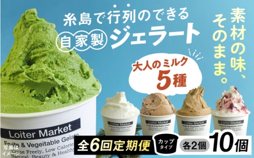 【全6回定期便】行列のできる アイスクリーム 屋 ジェラート 10個 （大人味5種×各2個） アイス 食べ比べ ギフト スイーツ プレゼント 糸島 / LoiterMarket ロイターマーケット [AGD021]