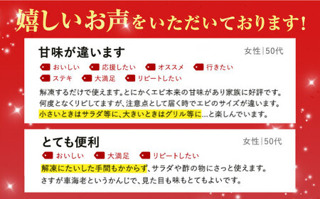 ボイル尾付き車海老500g 五島市 / 拓水五島事業場 [PCU004] 海老 冷凍 車エビ むきえび バラ凍結 小分け 海老 冷凍 車エビ むきえび バラ凍結 小分け 海老 冷凍 車エビ むきえび 