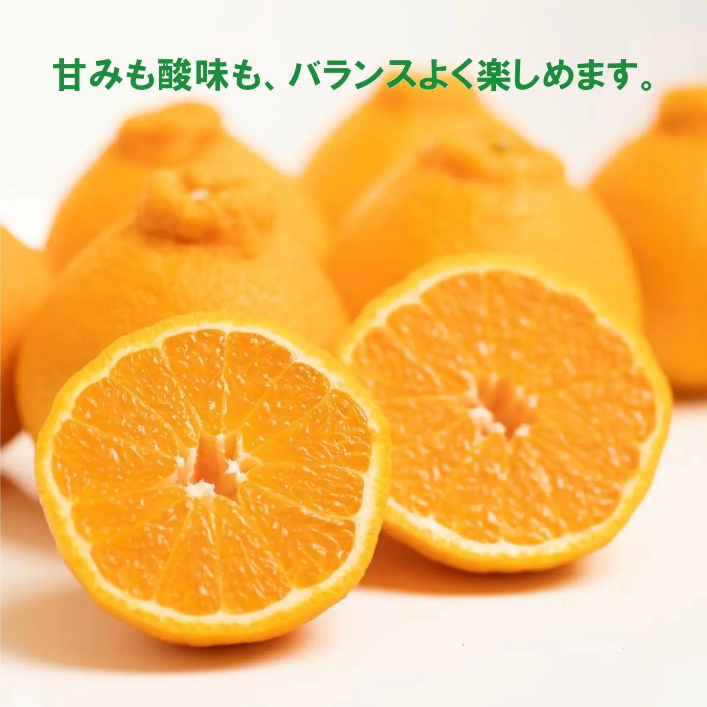 【先行予約】訳あり 減農薬 不知火 5kg 愛南フルーツ 【2027年3月中旬～発送開始】
