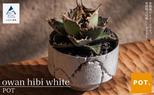 植木鉢 鉢 POT フラワーポット owan hibi　white