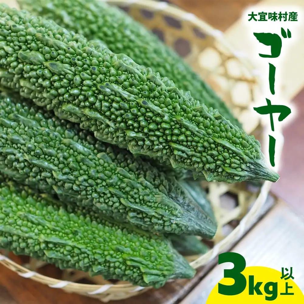 大宜味村産 ゴーヤー3kg以上 ゴーヤー 野菜