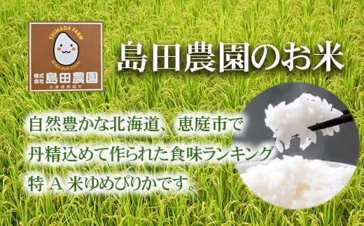 『令和5年産新米』「恵庭産たつやのゆめぴりか」10kg（5kg×2袋）【560001】_イメージ3