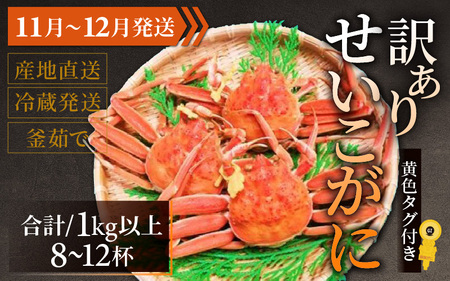 【訳あり】 【先行予約】せいこがに 合計1kg以上（8～12杯）【11月～12月発送】日本海 直送