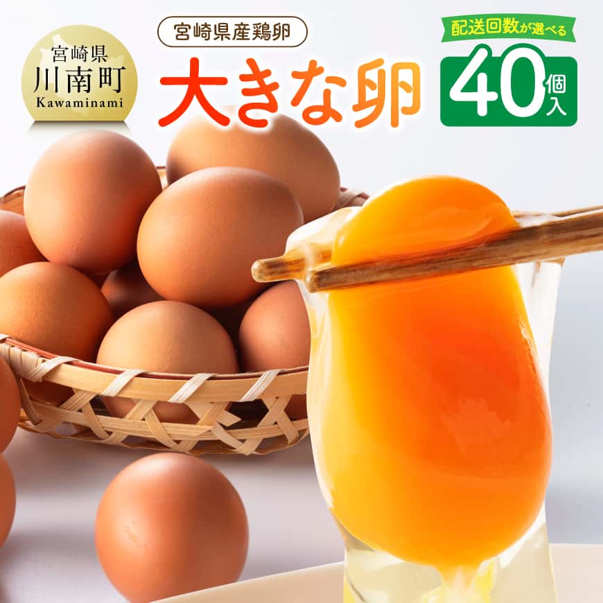 【ふるさと納税】※回数が選べる※ 宮崎県産鶏卵　「南国からの贈り物」大きな卵40個入り（35個+破損補償5個） - たまご 国産卵 おうち時間 おうちごはん 九州 宮崎県 送料無料 川南町 C01401