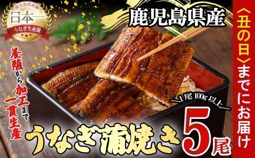 【丑の日までに配送】桜林養鰻のうなぎ蒲焼 計500g以上(100g以上×5尾) b7-016-us