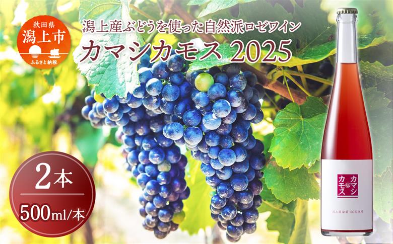 カマシカモス 2025年 ロゼ 中辛口 500ml 2本 潟上市 むつみワイナリー	