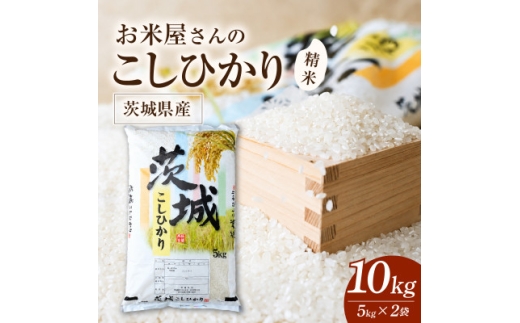 令和8年産 新米 お米屋さんのコシヒカリ 精米 10kg(5kg×2)【1787839】