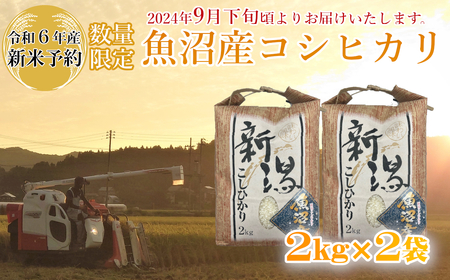 M10P237 【令和6年産 新米予約】《数量限定》令和6年産 魚沼産コシヒカリ2kg×2袋 精米（宮内農園）早期受付 2024年9月下旬頃から発送開始 白米 魚沼 米