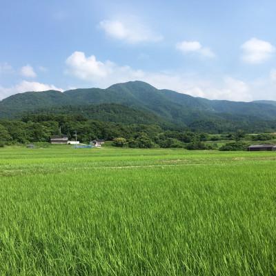 ふるさと納税 佐渡市 【令和7年産】佐渡高千産コシヒカリ 真空包装1kg×9袋(精米) |  | 02
