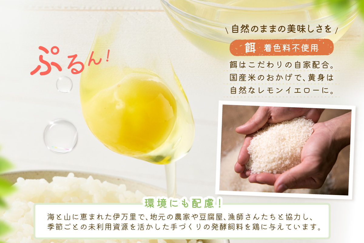 【6回定期便】平飼いで のびのび！ばあちゃんの昔たまご 20個/月 割れ保証あり 999-B1234
