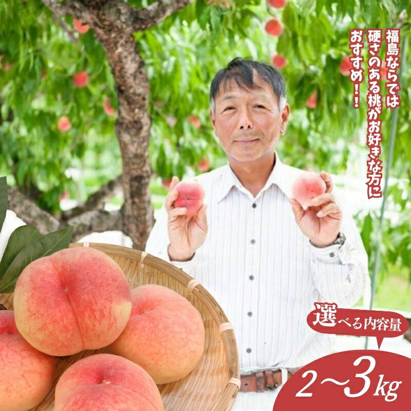 【ふるさと納税】福島 桃　晩成種 約2kg 約3kg【2026年発送 先行予約】