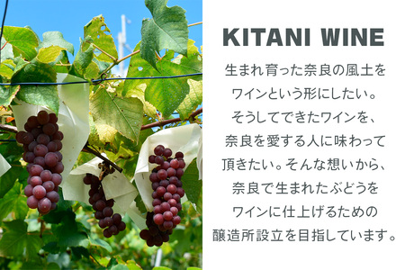 デラウェアペティアン 2024 (750ml×1本)｜ワイン 果実酒 奈良 香芝 [2912]