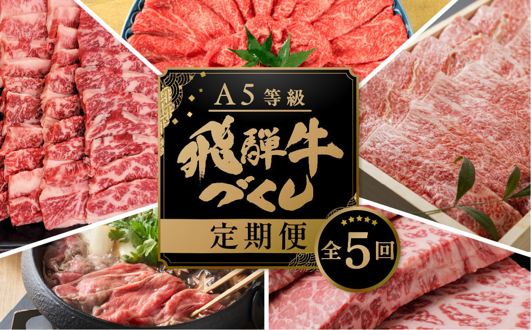 
            【定期便】A5 飛騨牛 5回 定期便 計 2.9kg 5ヶ月 食べ比べ A5等級 5等級 a5 牛肉 肉 和牛 国産牛 黒毛和牛 焼肉 すき焼き しゃぶしゃぶ ステーキ 赤身 霜降り お楽しみ トキノ屋食品 本巣市 定期便 肉 お楽しみ 定期便 牛肉   [mt668]
          