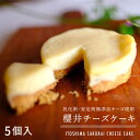 【ふるさと納税】無添加チーズのいとしまチーズケーキ【5個入り】糸島市 / 糸島手造り工房 爽風 [ATA002] 9000円 9千円