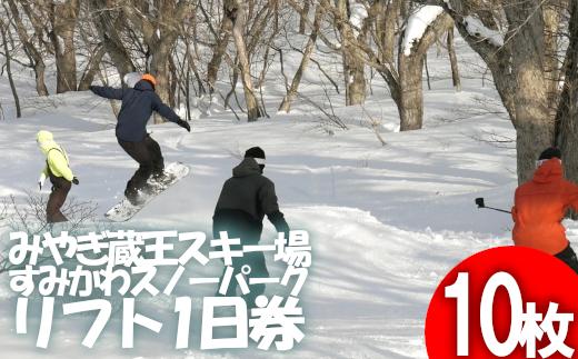 
            共通リフト1日券　10枚　【04301-0313】
          